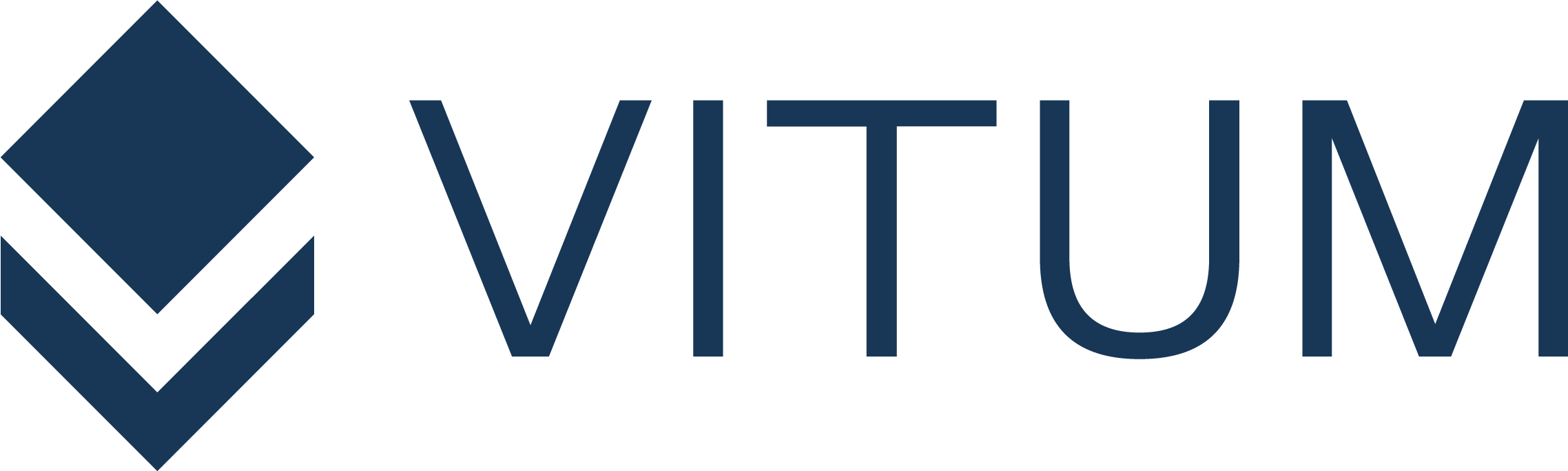 Vitum Logo XL